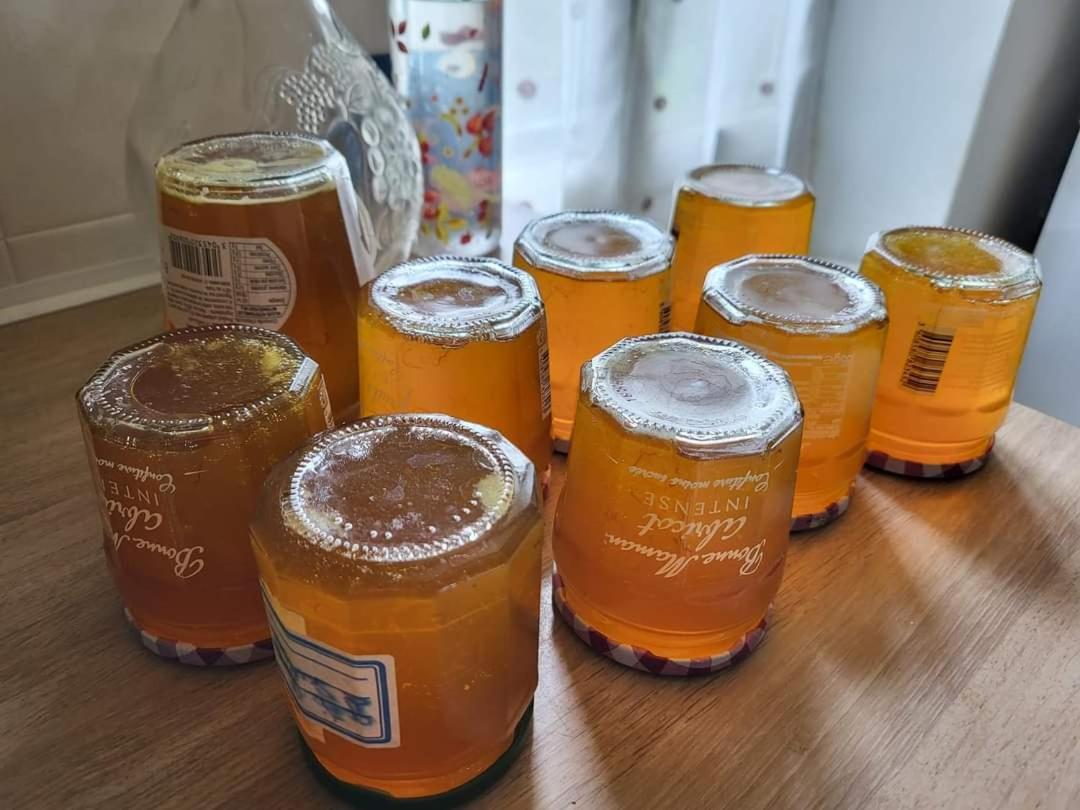 Chambres D Hotes L'Agape Saint-Martial-sur-Isop Kültér fotó